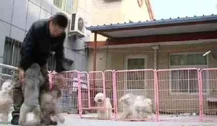 鏃╁畨鏌冲窞鏈濋椈澶╀笅,鏃╁畨鏌冲窞