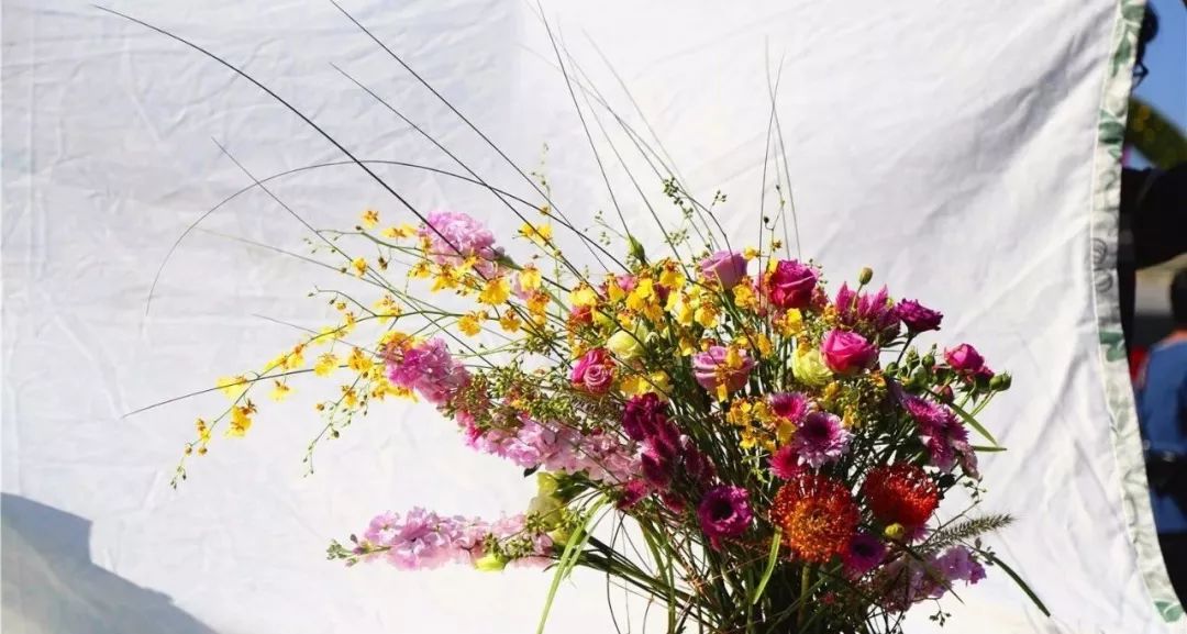 体育中心看展菊,运动公园菊展