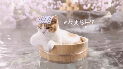 中国温泉之城历届名单,中国温泉之乡前十名