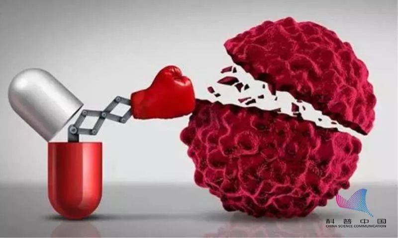 抗癌食物是真的还是假的,抗癌食物是真的么