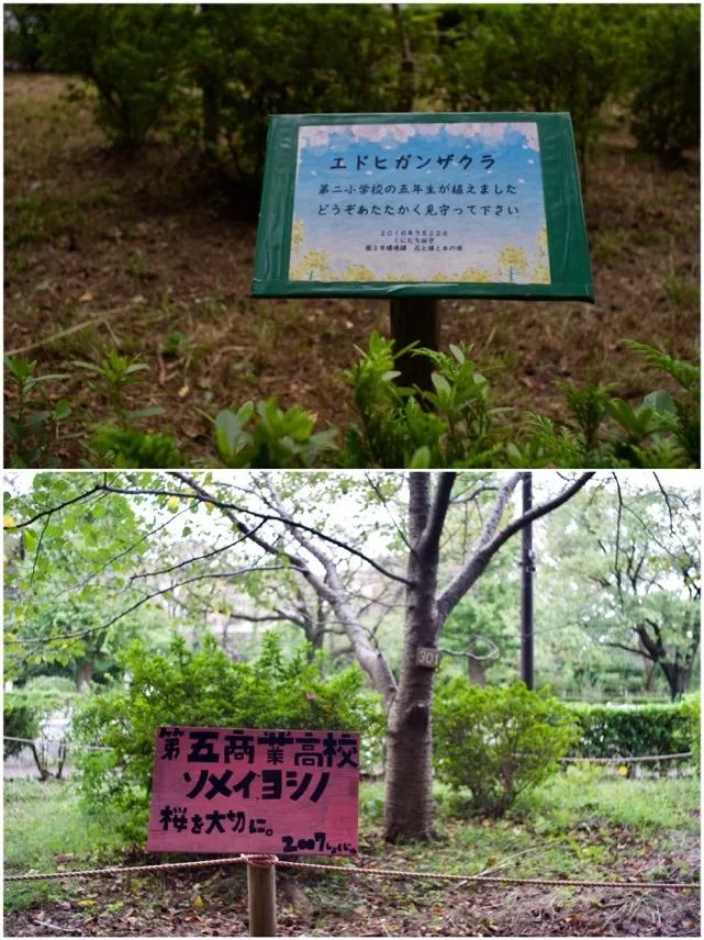 日本人看东京的感受,日本人在中国的感受