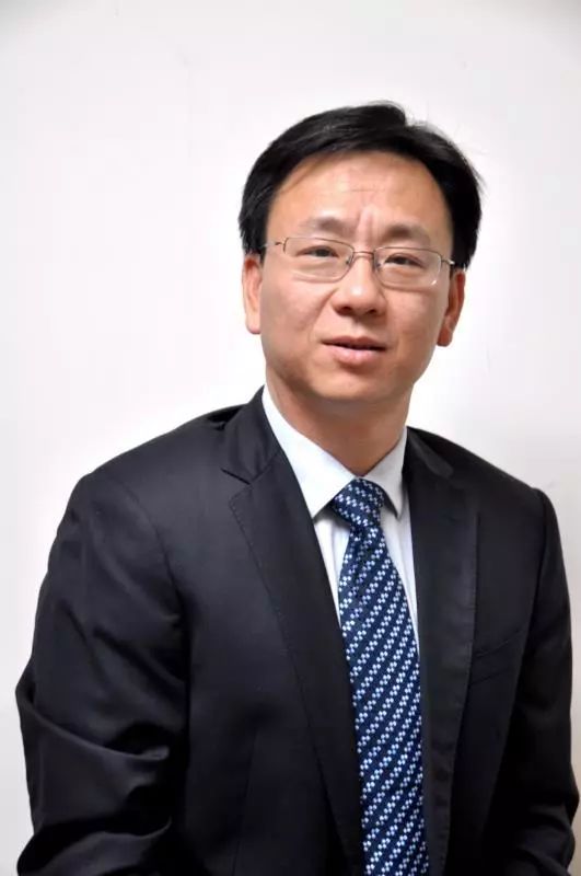 pubmed文献可视化分析,pubmed文献内容介绍