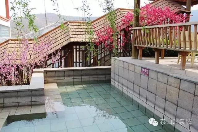 泰山温泉城有什么,泰山温泉城真实事件