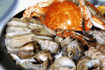 双十一去旅游,双11去双合石壁玩