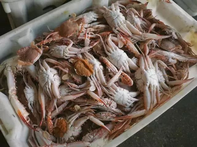 双十一去旅游,双11去双合石壁玩