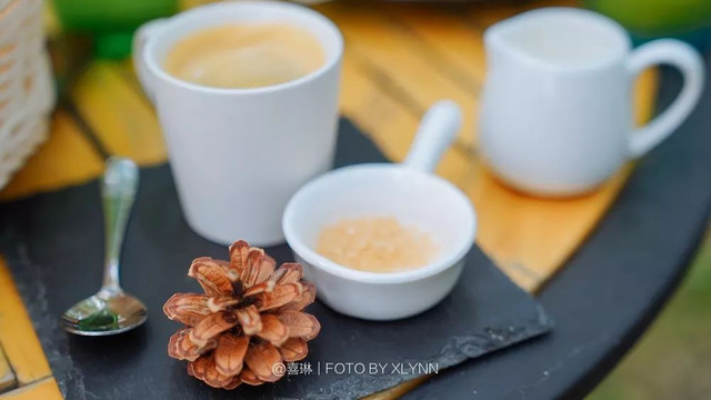 羊驼陪吃早餐，天鹅湖中畅游，藏身北京奥森旁的休憩之地：在之禾