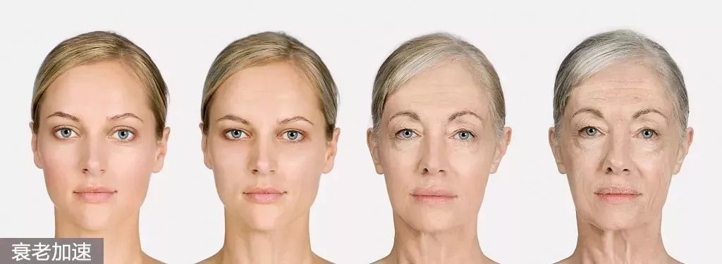 神奇的海参!女人不老、男人不虚,延年益寿,现在知道还不晚……