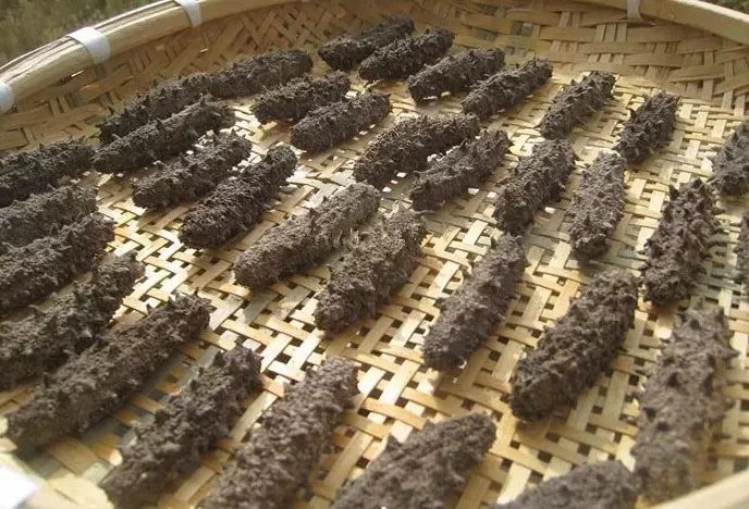 神奇的海参!女人不老、男人不虚,延年益寿,现在知道还不晚……