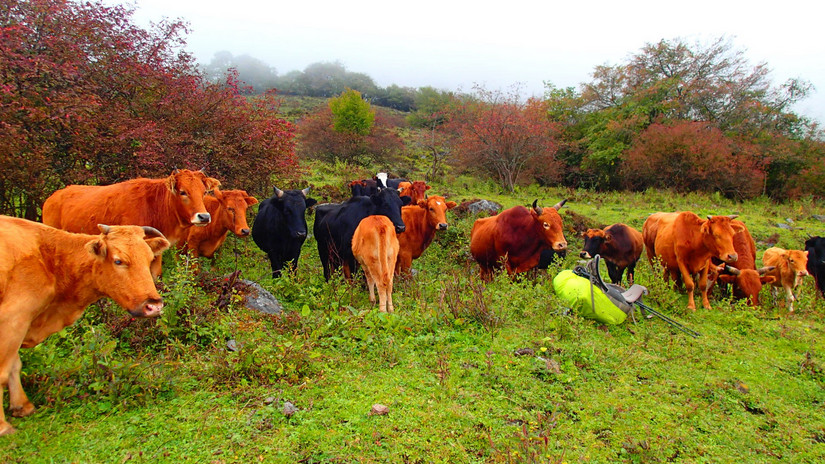 留下的是辉煌带走的是荒凉,带走的是经历留下的是回忆