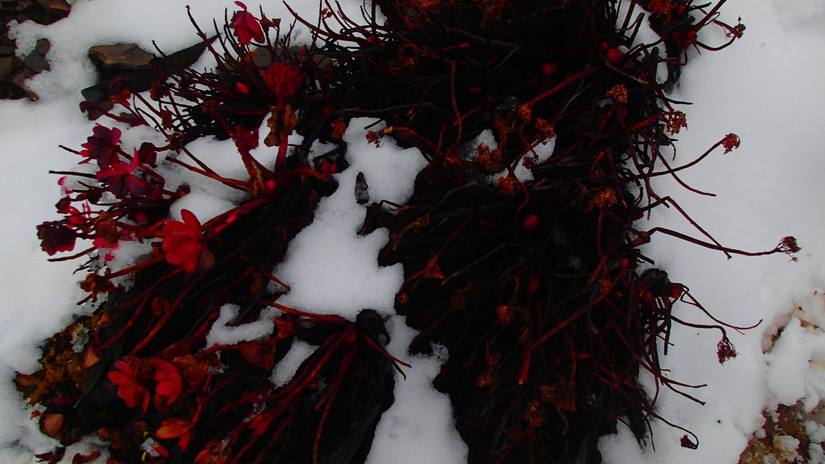 留下的是辉煌带走的是荒凉,带走的是经历留下的是回忆