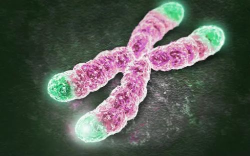 绔矑閰剁殑鎶楃檶鐮旂┒,绔矑閰惰兌鍥婃姉鐧屾垚鍔熺巼