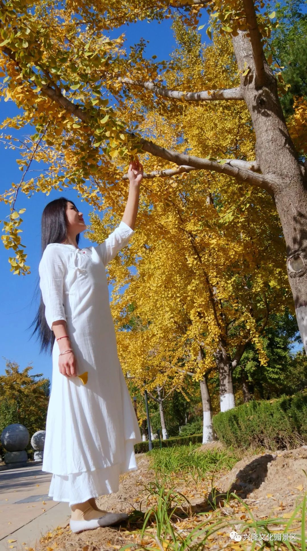 巴山夜雨电影1980,巴山夜雨1980老电影