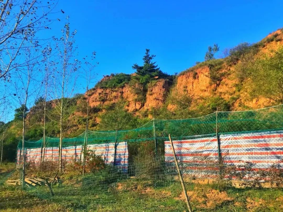 为什么救助狍子要用白布捂眼睛,救助狍子该送哪里