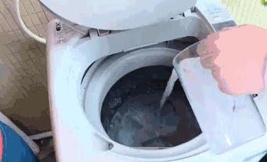 免清洗洗衣机清洁剂,洗衣机这样清洗比马桶还要脏