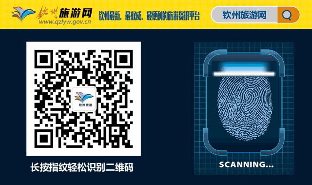 今天起！钦州人的QQ号可以注销了，评论区又是一波回忆杀……