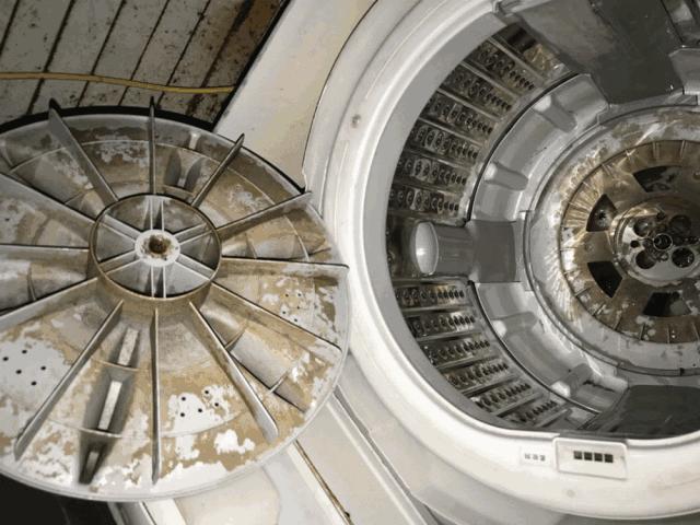 免清洗洗衣机清洁剂,洗衣机这样清洗比马桶还要脏