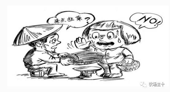 土地流转只是少数人的盛宴，大多数人都亏得惨不忍睹？！