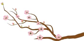 寻找治痔疮良方,寻乌县老中医治痔疮