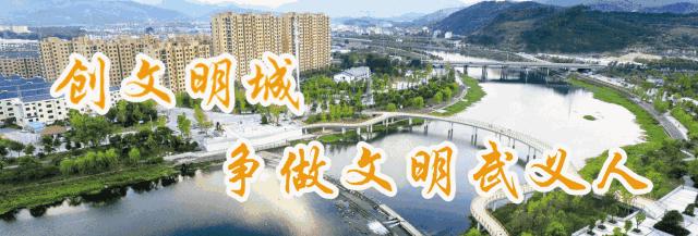 武义县各乡镇名单,武义新增32个村庄