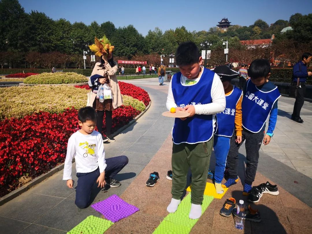 树叶拓印留住秋天,关于秋天的树叶拓印