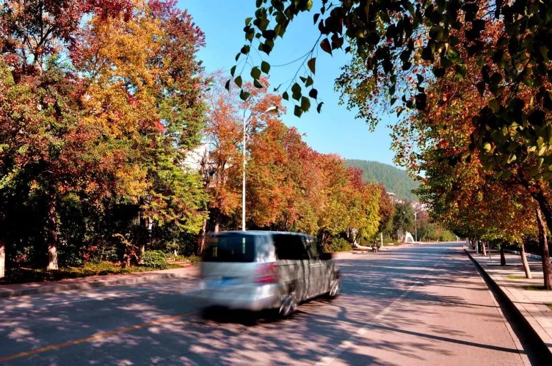徐州秋景哪个地方最好看,徐州周边赏秋景的地方