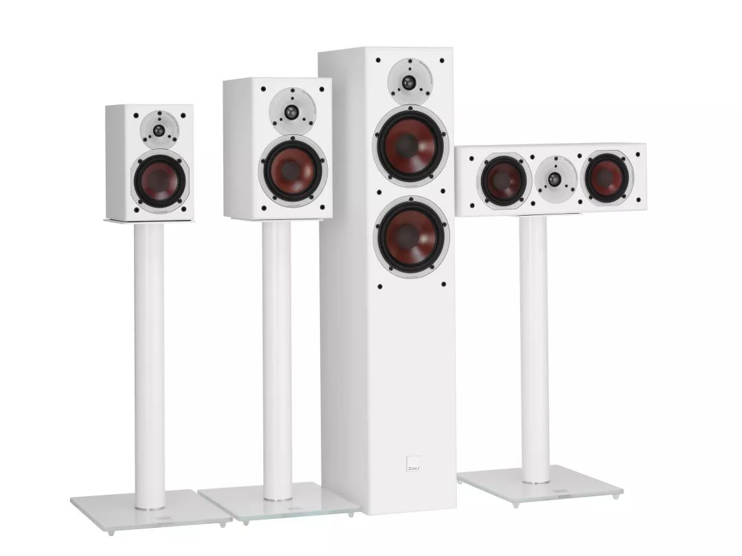 人小鬼大现场版,低音炮达尼sub10