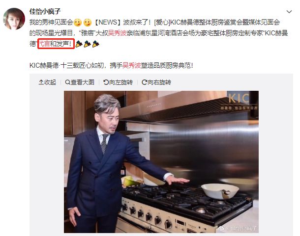 吴秀波女朋友判几年,吴秀波立案侦查合集