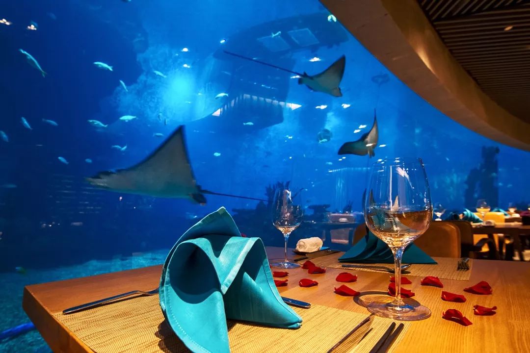 双11种草清单大全,双11种草好物