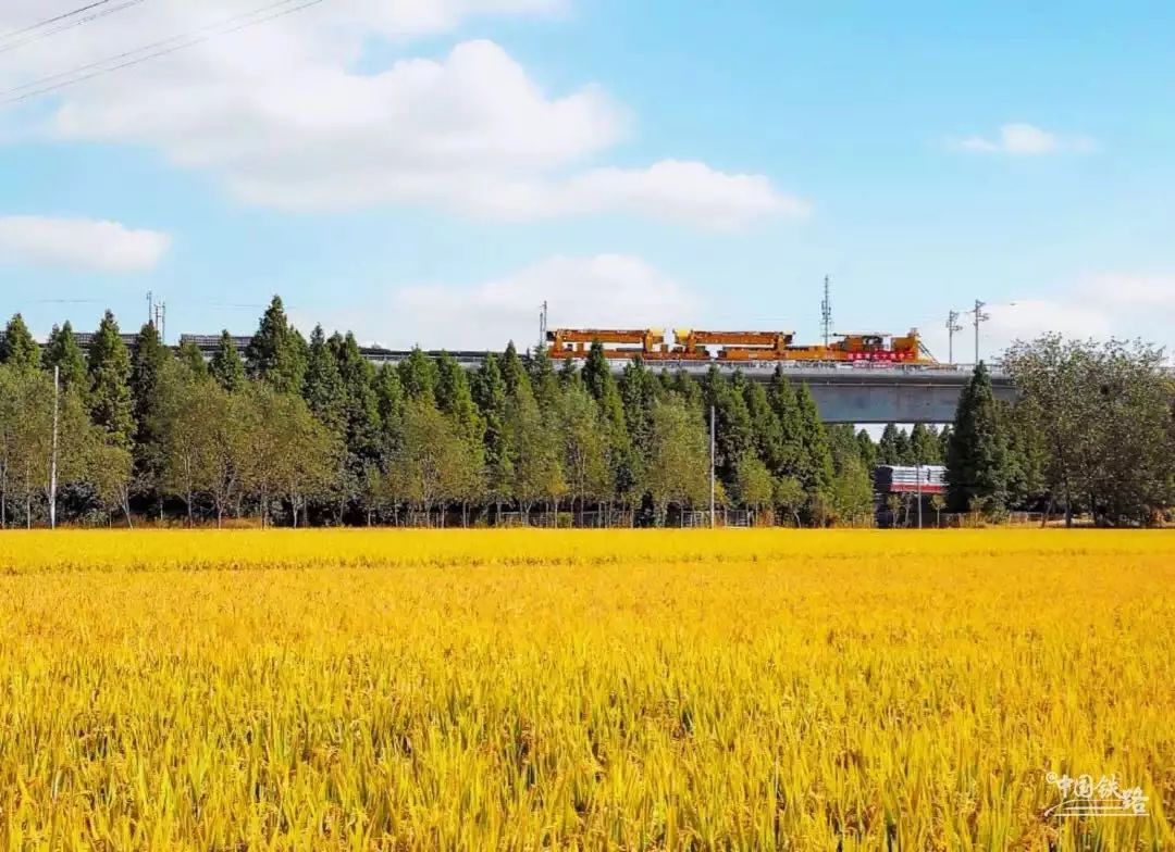有哪些中国铁路工程震撼到你,中国铁路在建超级工程有哪些