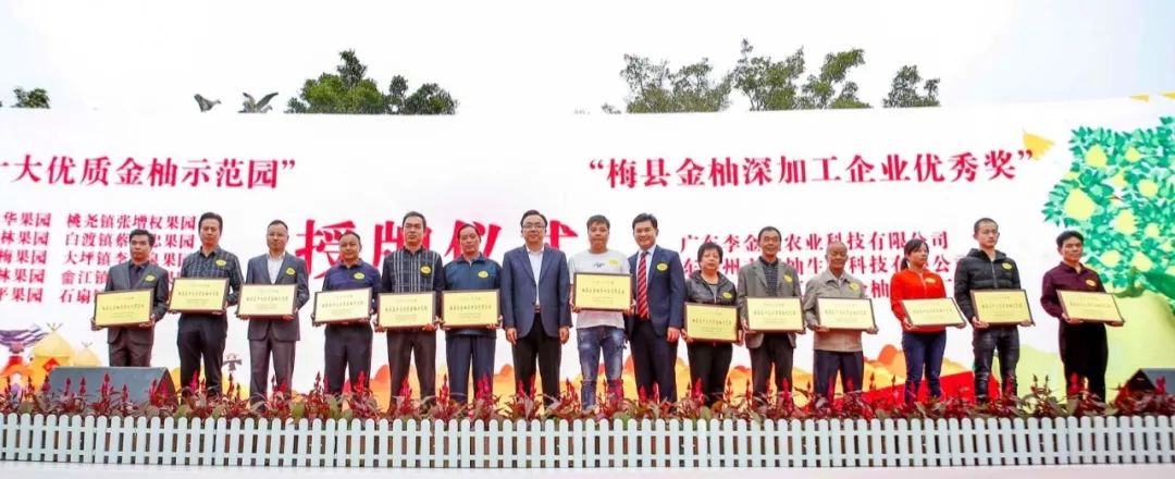 梅县最好吃的柚子在这里！（文末有福利）