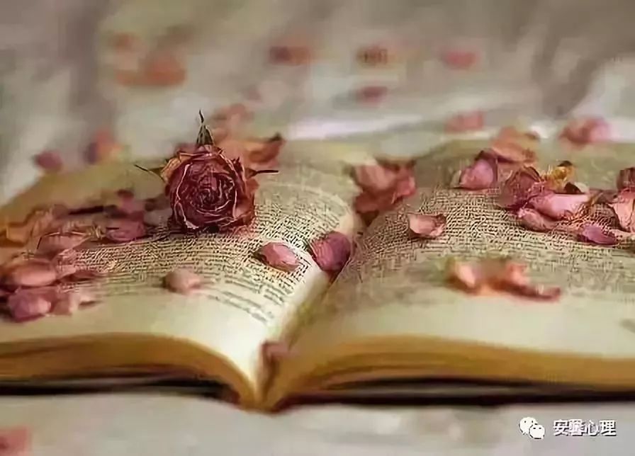 郑州人际关系培训机构,欧文亚隆人际团评测