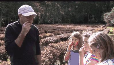 “男朋友的脚堪比生化*器武**!我得治治他!”