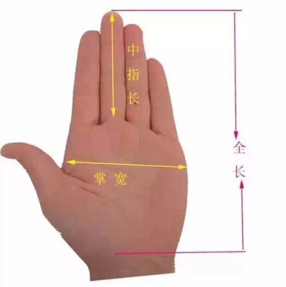 鞋子小常识100例,关于鞋子的科普知识