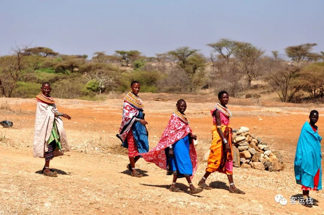 桑布鲁荒野里，我们的主要食物是奶和血｜会玩