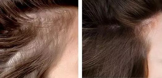 历尽千帆归来仍是美少女,历尽千帆归来仍是少女的下一句