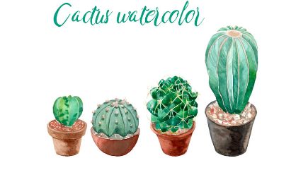 必须懂的健康小知识,一定要记住的健康小知识