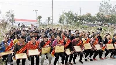 中华第一县濮山淮水,濮山淮水古城全景