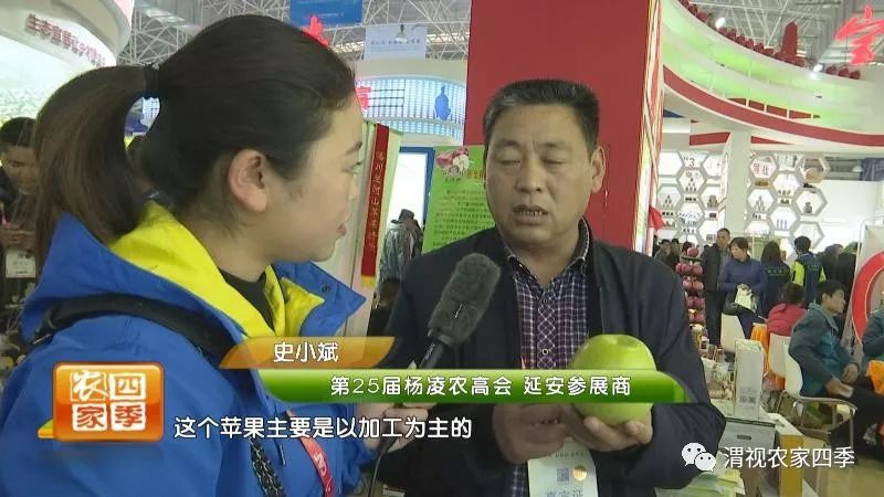 小罗带你逛超市,小罗带你走进水果基地