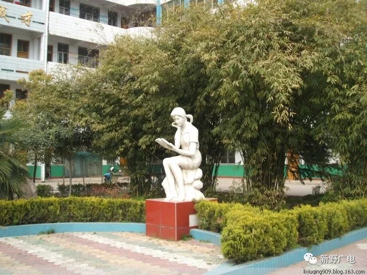 新野县实验高中,新野县实验中学在哪个位置