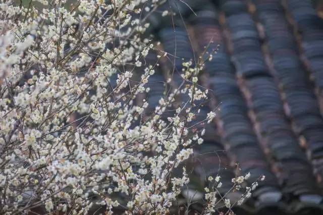 黔南3天旅游攻略,黔南荔波旅游攻略