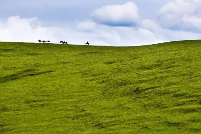 世界这么大我一直在路上,世界这么大我想自己去看看