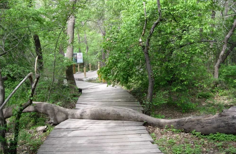 鏀归潻鍗拌鍐呭,鏀归潻鍗拌姝屾洸