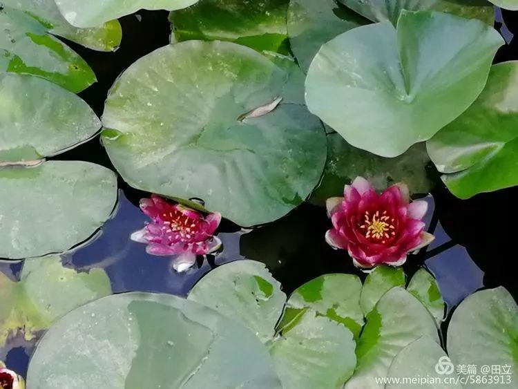 「荐读」名贤集值得一读