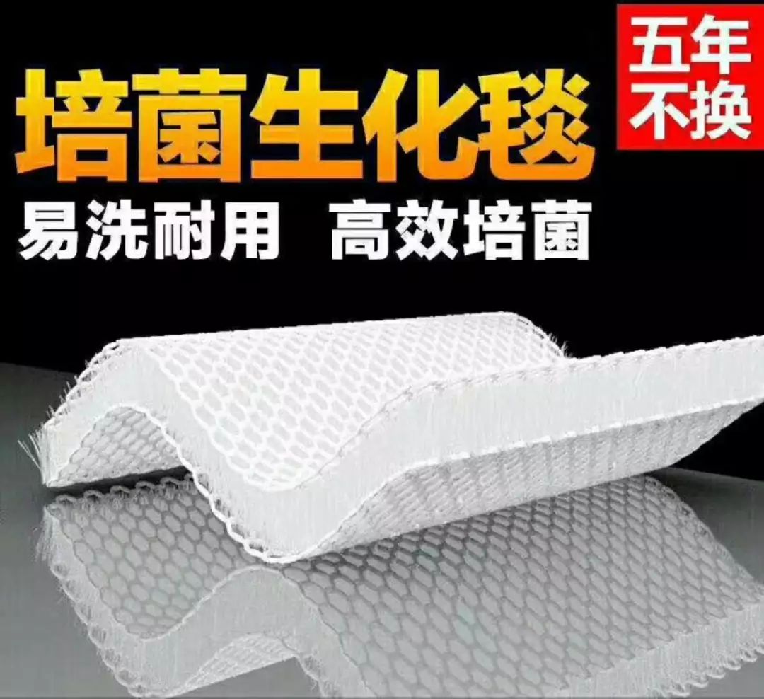 浣庝环绉掓潃闄愭椂鎶㈣喘浣庤嚦5鎶樿捣,鐗规儬绉掓潃浣庤嚦49鍏冭捣