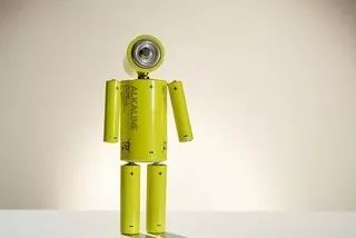 怎么识别菌菇有毒啊,说有毒啊你怎么回复