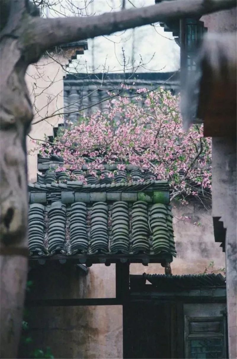 中国古典园林的诗画意境,中式园林画意