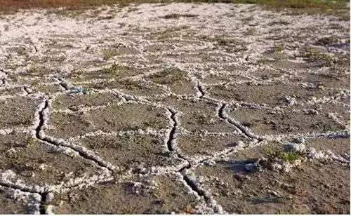 土壤氮素与土壤肥力关系,肥沃土壤氮磷钾标准是多少