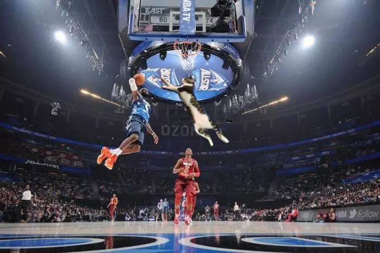 萌爪神吐槽馆,说你想说的