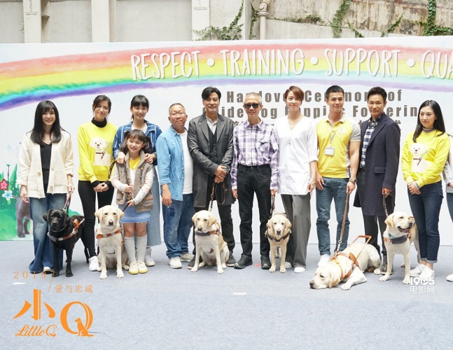 任达华和导盲犬的电影叫什么名字,导盲犬小q任达华为什么没有回来