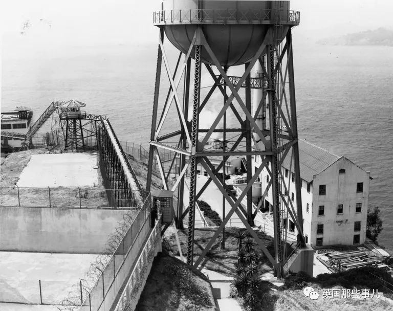 一颗3D打印假人头居然上了头条这背后，一场半世纪的大疑团